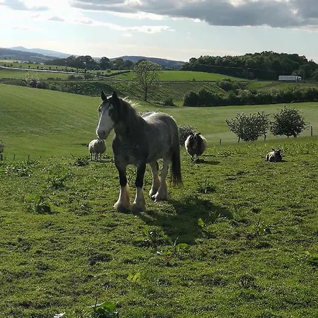 Luxusní stan Sunny Mount Shepherd's Hut
