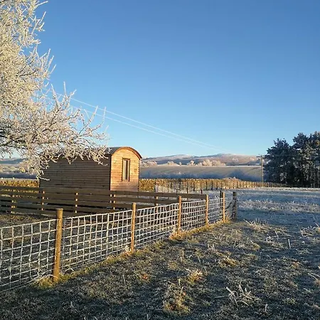 Sunny Mount Shepherd's Hut Luxury tent Long Marton