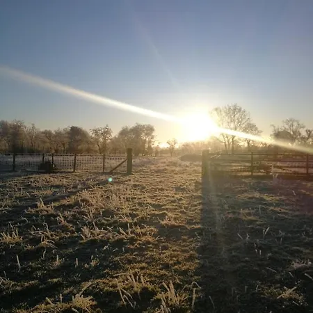 Sunny Mount Shepherd's Hut