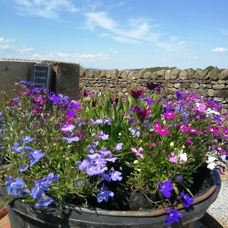 Sunny Mount Shepherd's Hut Luxury tent