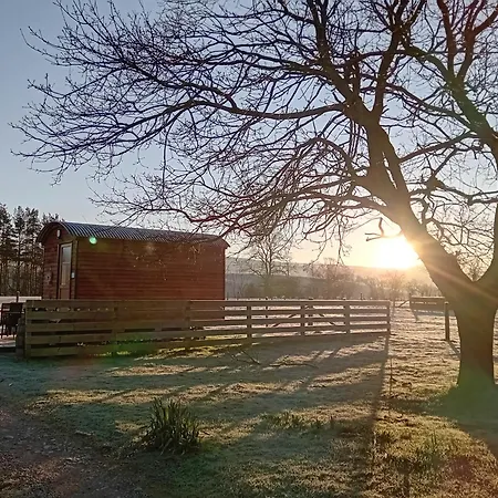 Роскошный шатер Sunny Mount Shepherd's Hut