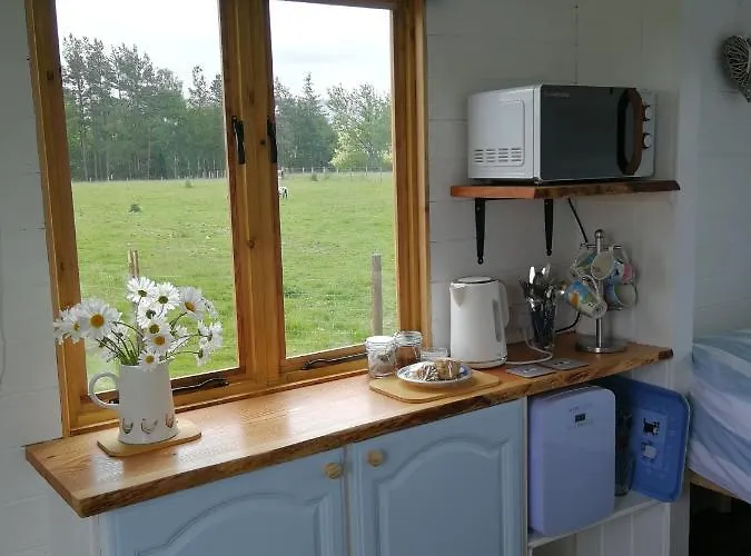 Luxury tent Sunny Mount Shepherd's Hut *