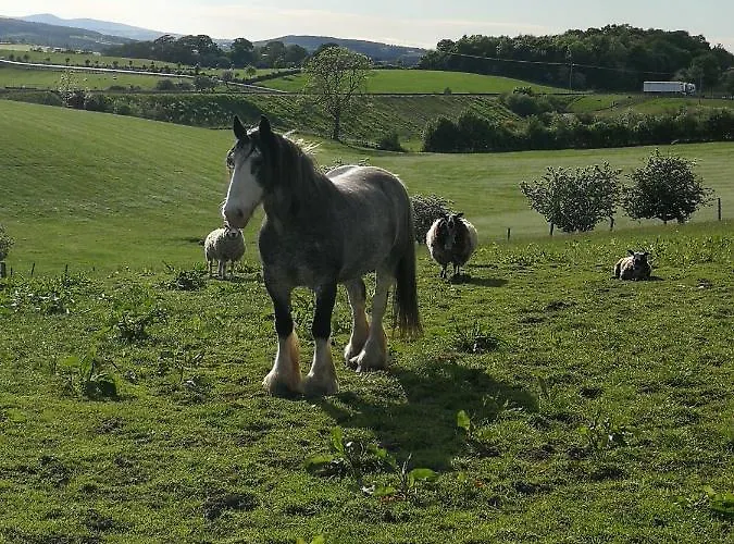 Luxusní stan Sunny Mount Shepherd's Hut