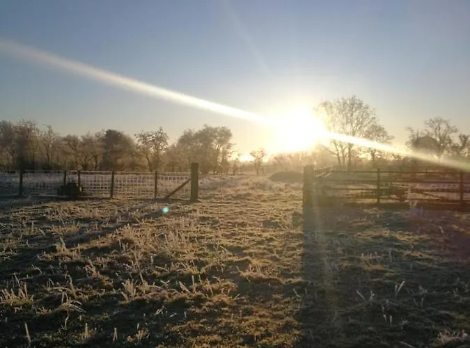 Sunny Mount Shepherd's Hut