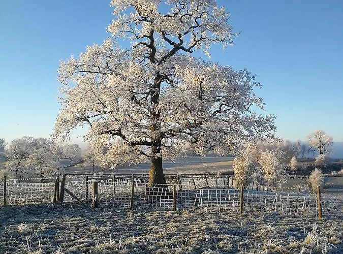 Sunny Mount Shepherd's Hut Luxury tent Long Marton