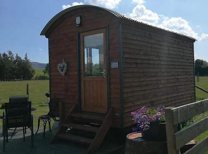 Sunny Mount Shepherd's Hut *