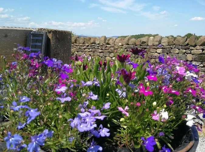 Sunny Mount Shepherd's Hut Luxusní stan
