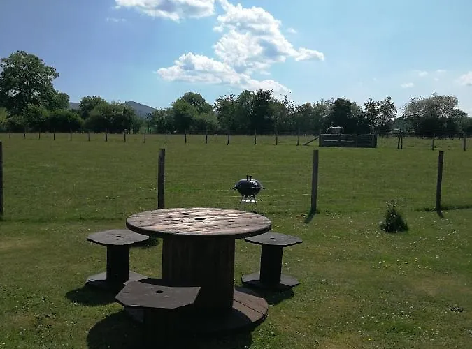 Sunny Mount Shepherd's Hut *