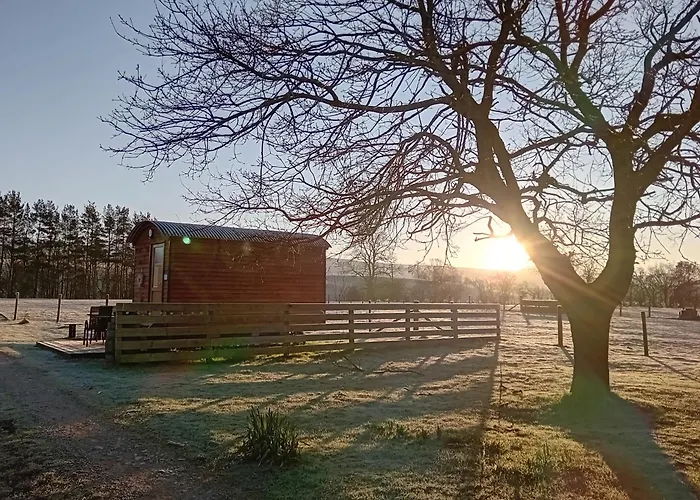 Luxusní stan Sunny Mount Shepherd's Hut