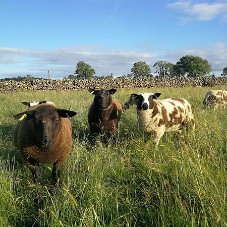 Sunny Mount Shepherd's Hut ラグジュアリーテント *