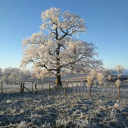 Sunny Mount Shepherd's Hut ラグジュアリーテント Long Marton
